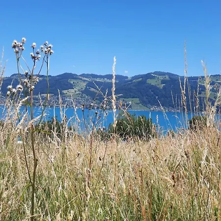 Chalet Thunersee View Spiez