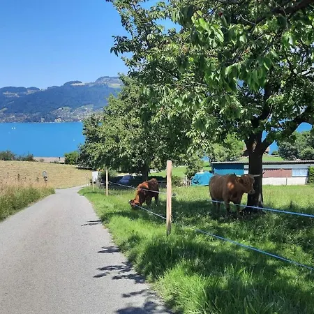 Lejlighed Chalet Thunersee View Spiez