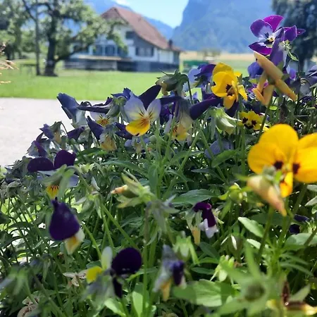 Chalet Thunersee View Lejlighed *