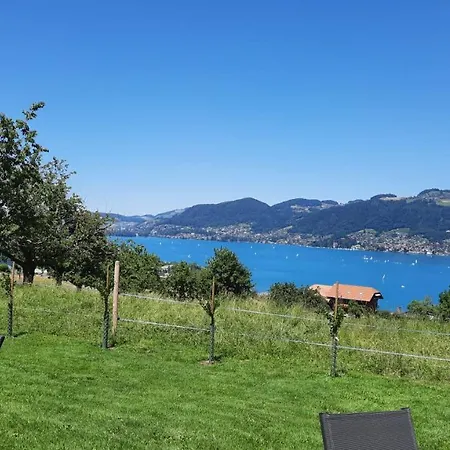 Chalet Thunersee View Lejlighed *
